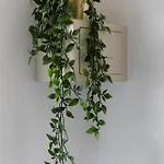 Merulana Star בית הארחה רומא